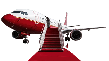 Flyzentique image